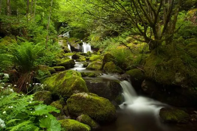 Cascade Saint-Nicolas