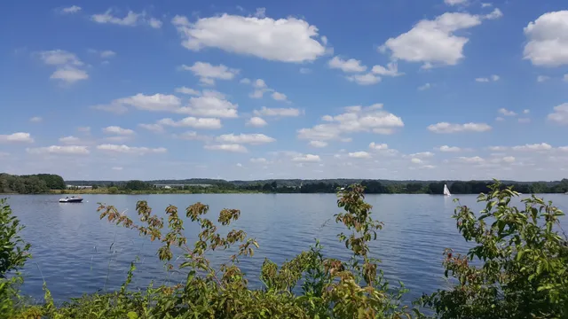Naturistenvereniging De Maasplassen