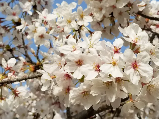 Nobatake-minami Park