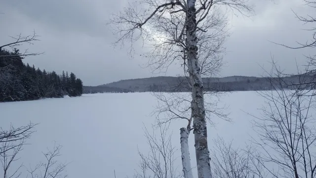 Arrowhead Provincial Park Cross Country Skiing