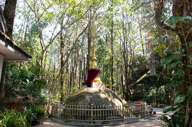 Mae Fah Luang Arboretum