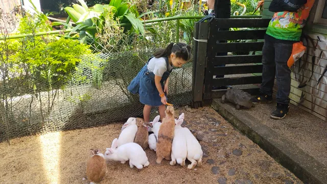 Granjalandia Interactiva