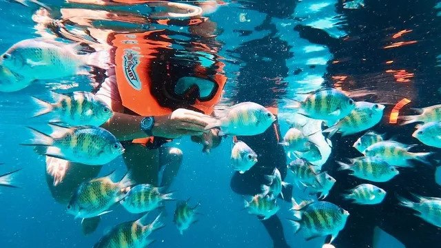 Pakej Pulau Semporna