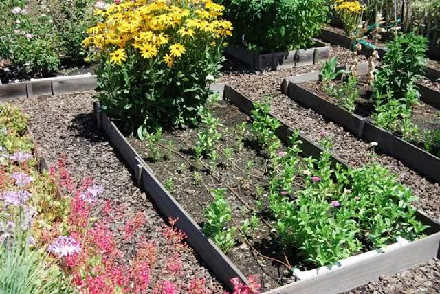 Cherokee Lake Recreation Area