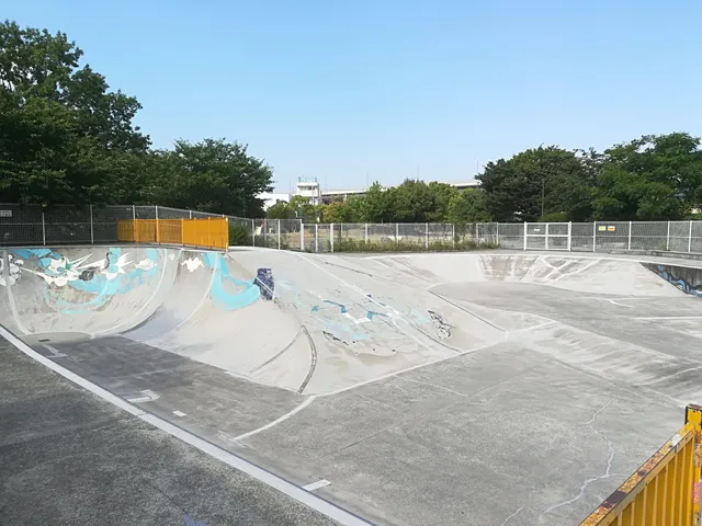 Hiuchigata Koen Skate Board Park