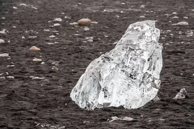 Velas Turtle Festival