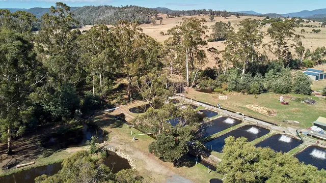 Buxton Trout & Salmon Farm