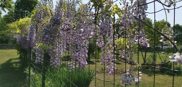 Parco San Sebastiano