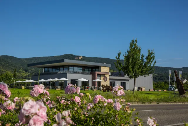 Weingut Ökonomierat Isler