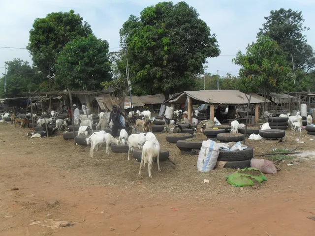 Brikama Craft Market