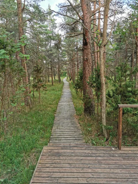 Mändjala loodusmaja-teabepunkt