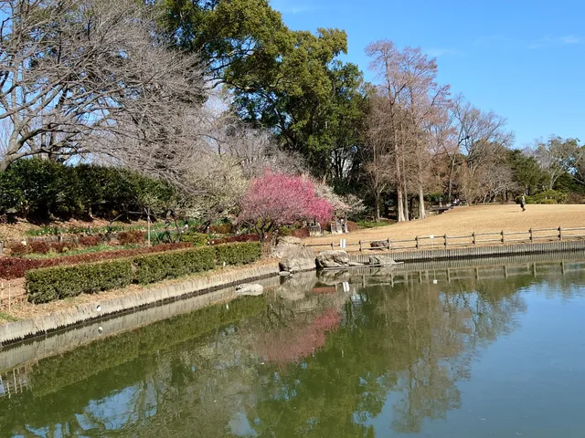Iida Park