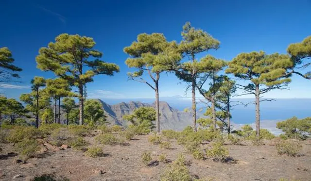 Monte Viso (Santiago de Compostela)