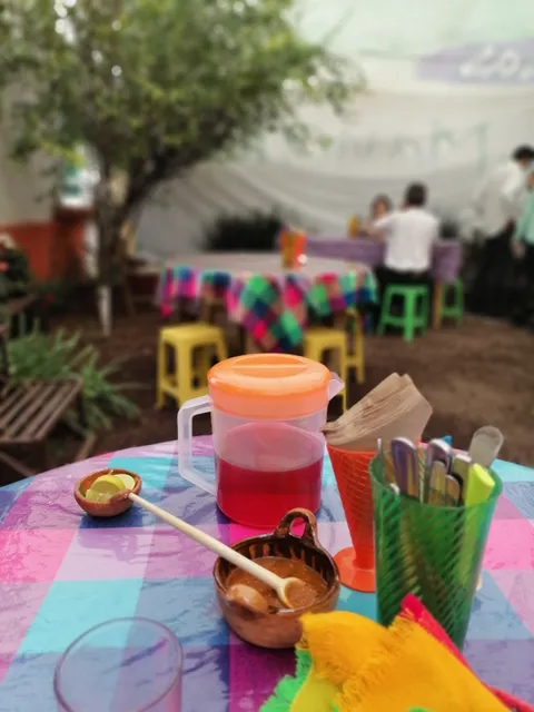 Rinconcito Michoacano