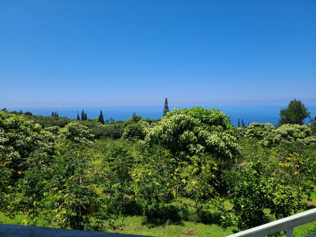 Pine Village small Farm