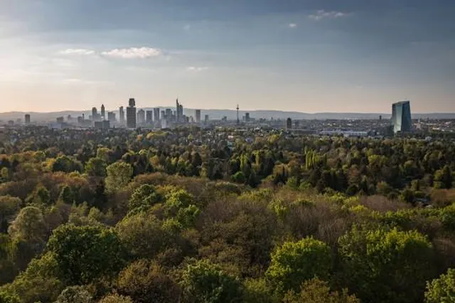 Frankfurt City Forest