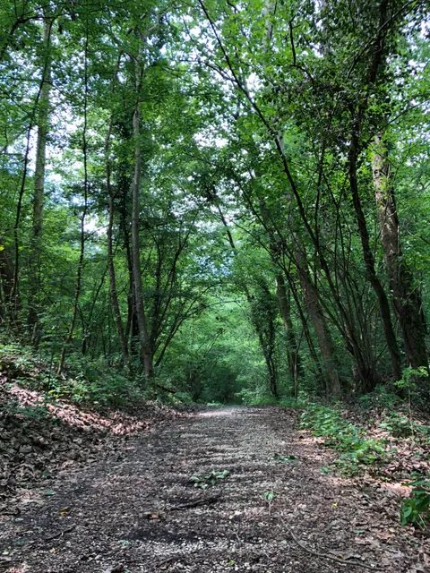 Sentiero Naturalistico Gor (Troi de Gor)