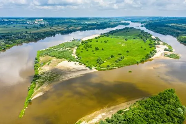 Rezerwat przyrody Krowia Wyspa