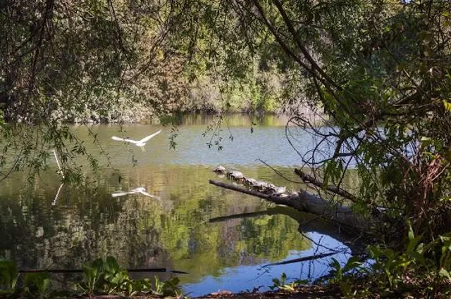 El Dorado Nature Center