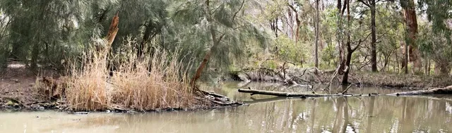 photo-1