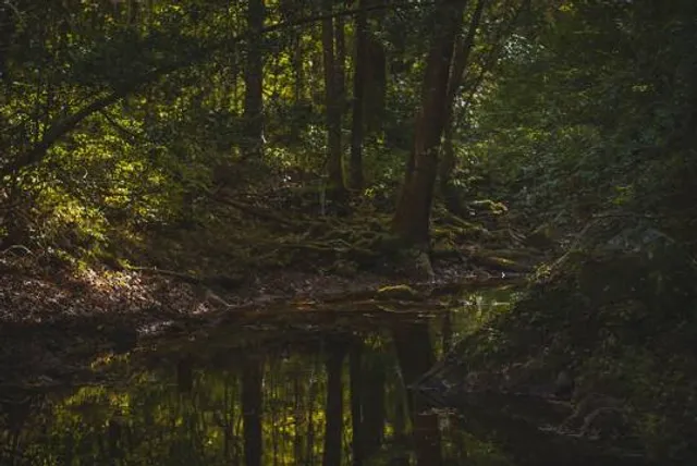 Hurricane Creek Park