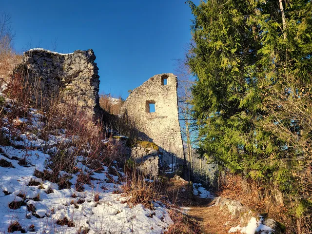 Ruine Hohenberg