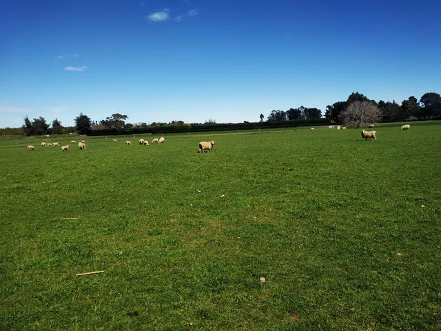 Pegasus Golf & Sports Club