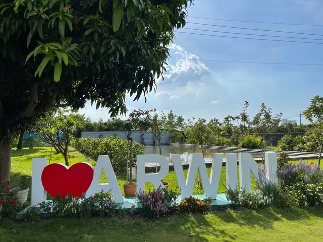 Arwin Bali scenic coastal plant