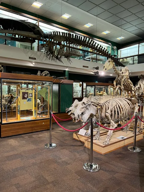 University of Aberdeen Zoology Museum