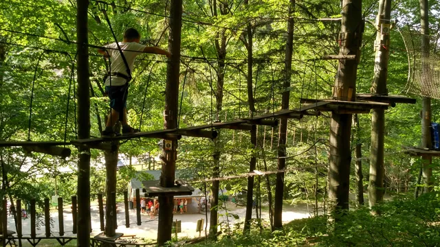 Leśny Park Przygody Skalisko