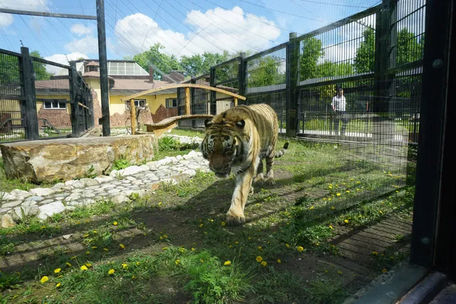 Voronezhskiy Zoopark Im. A.s.popova.