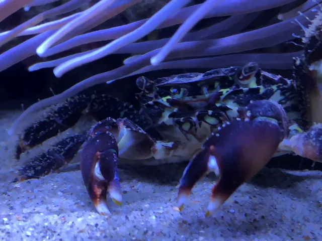 MUSEO DEGLI INFRESCHI