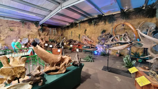 Dinosaur George Museum and Gift Shop