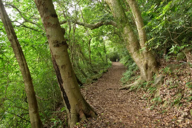 Hengling Historic Trail