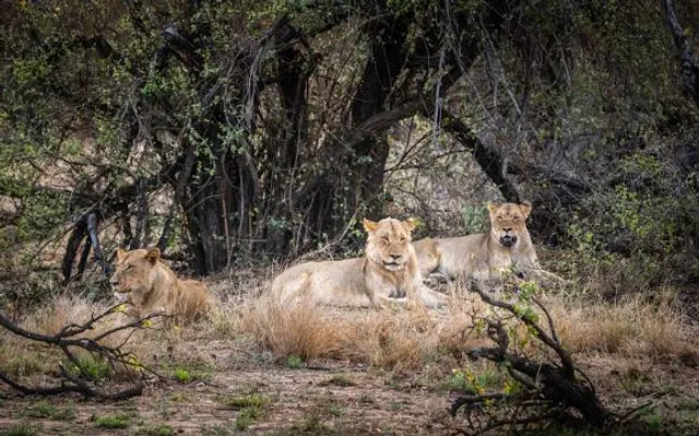 Laghetti della Rimonta