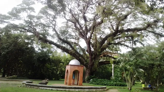 Naguanagua Botanical Garden