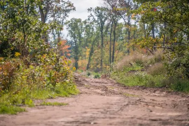 Governor Knowles State Forest