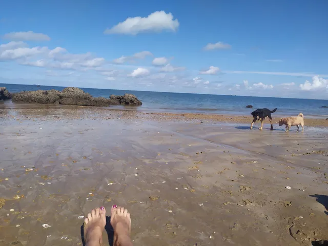 Costa de la Grajuela