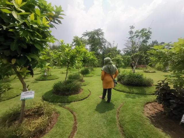 Taman Hutan Raya Lempung