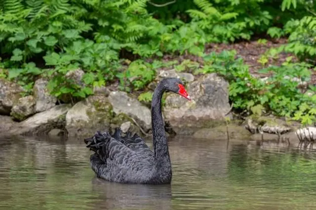 Parc du Moulin à Tan