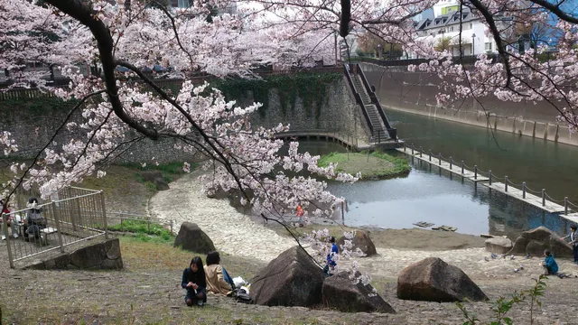 Otonashi Sakura Green Park