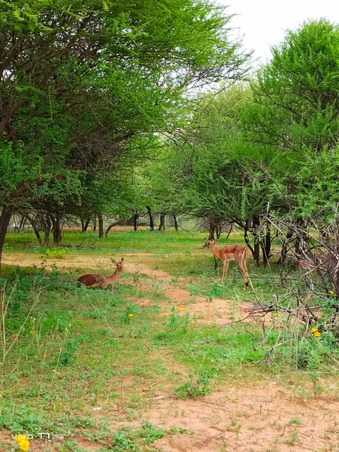 Gaborone Game Reserve