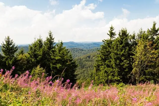 Sonnenstein Skywalk (Touringen Stempel 343)