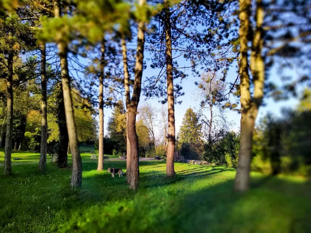 Naturgarten Lindberg