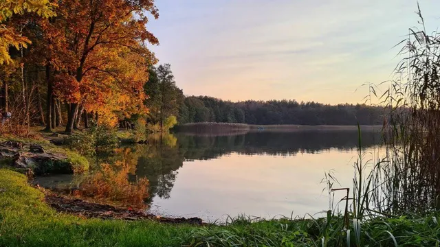 Jezioro Trzechowskie