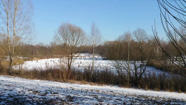 Volkspark Marienberg