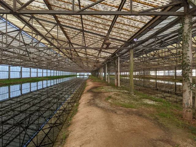 Hornsby Bend Bird Observatory