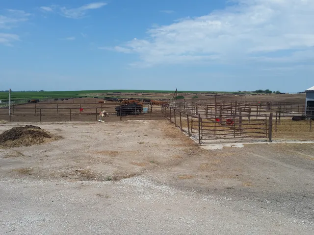 Circle Five Beef, Inc