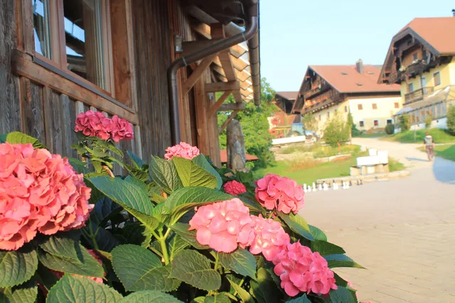 Bio Archehof Zachhiesen (Zachhiesenhof)