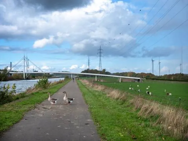 Sutter's Landing Regional Park